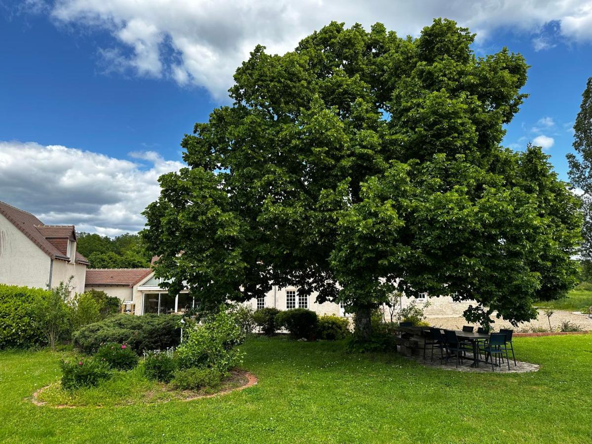 Domaine De Couilleuse Hotel Saint-Laurent-Nouan ภายนอก รูปภาพ