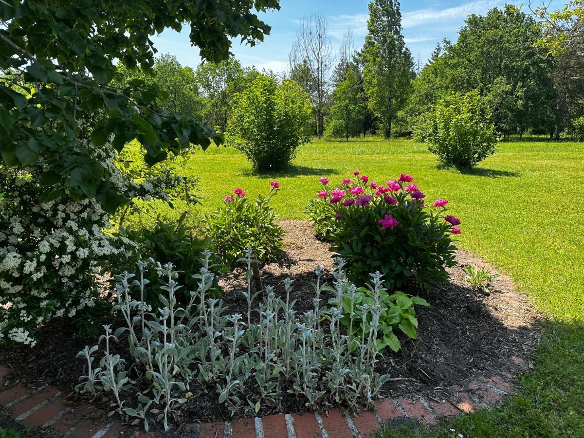 Domaine De Couilleuse Hotel Saint-Laurent-Nouan ภายนอก รูปภาพ