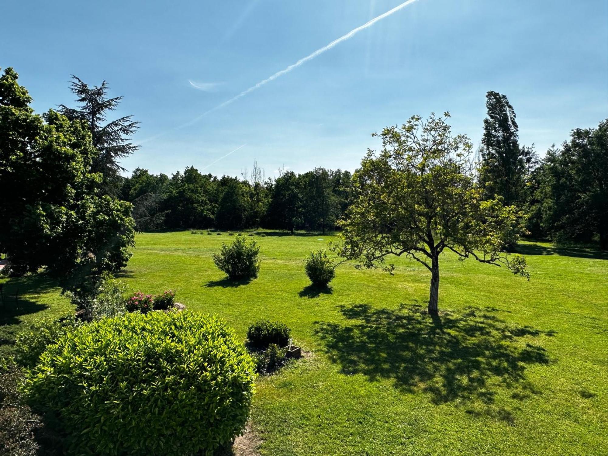 Domaine De Couilleuse Hotel Saint-Laurent-Nouan ภายนอก รูปภาพ